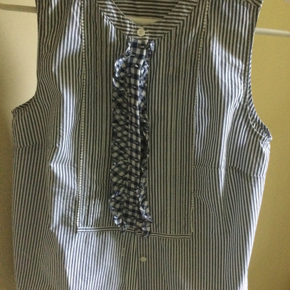 JCrew Sleeveless Blue Stripe  Top in Size 6
